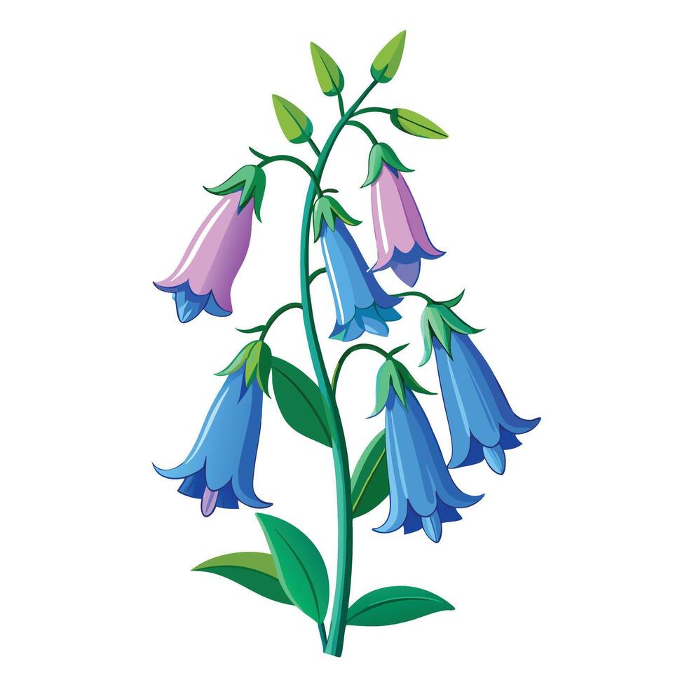 Vibrant Bellflower Plant with Brightly Colored Flowers and Leaves in a Natural Setting vector