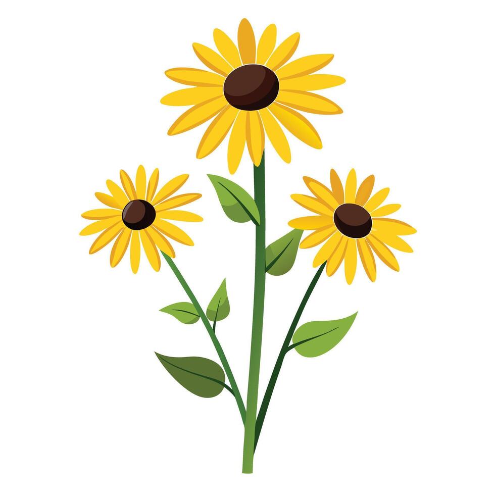 Botanical Rendering of a Black-Eyed Susan Plant in Full Bloom with Green Leaves and Stems vector