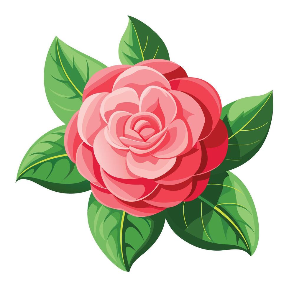 Vibrant Camellia Plant with Brightly Colored Flowers and Leaves in a Natural Setting vector
