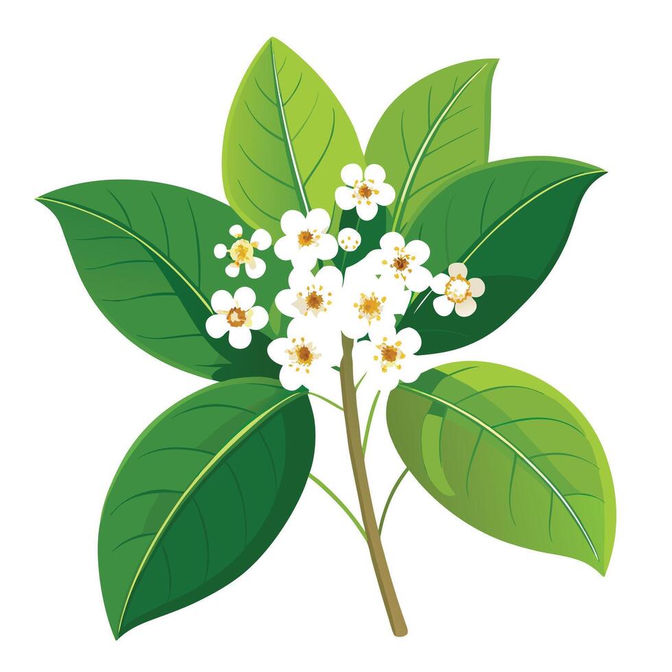 Intricate Details of a Camphor Tree Flower in a Natural Setting with Wildflowers and Butterflies vector