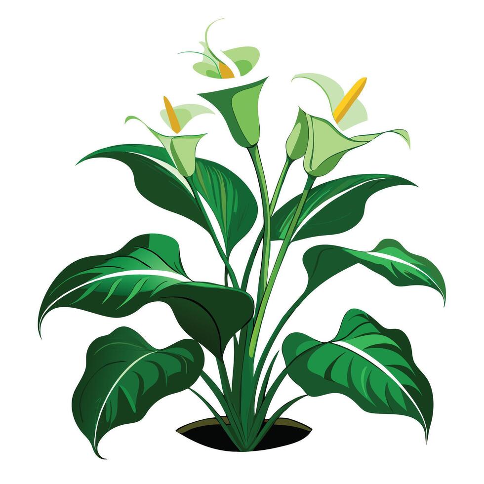 Intricate Details of a Calla Lily Plant in a Natural Setting with Wildflowers and Butterflies vector