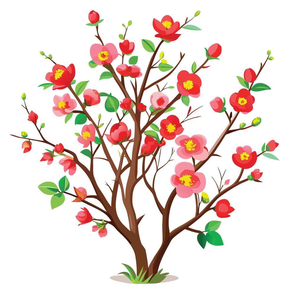 Vibrant Flowering Quince Bush with Brightly Colored Flowers and Leaves in a Natural Setting vector