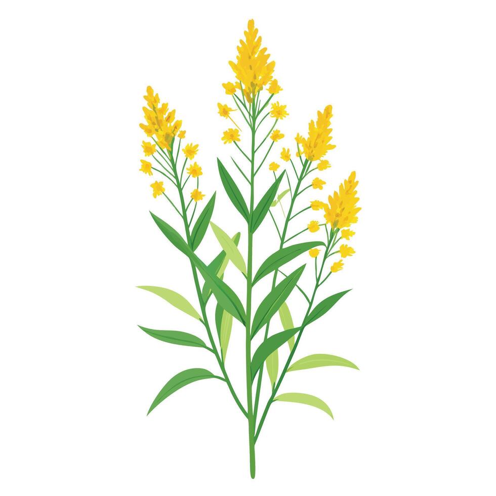 Intricate Details of a Goldenrod Plant in a Natural Setting with Wildflowers and Butterflies vector