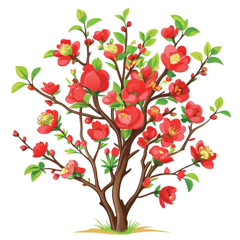 Intricate Details of a Flowering Quince Bush in a Natural Setting with Wildflowers and Butterflies vector