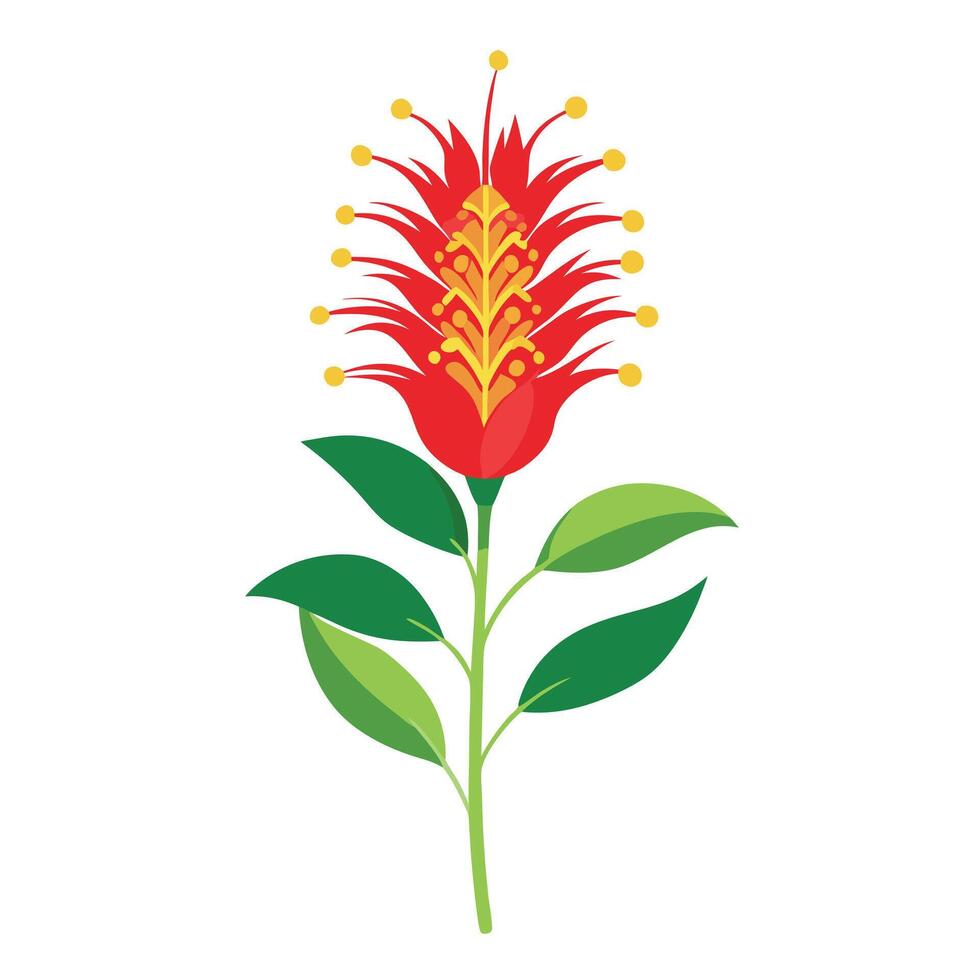 Vibrant Kangaroo Paw Flower with Brightly Colored Flowers and Leaves in a Natural Setting vector