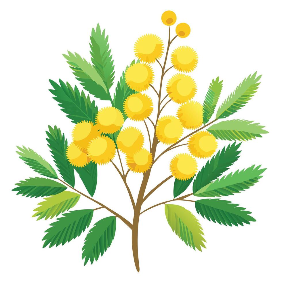 Vibrant Mimosa Plant with Brightly Colored Flowers and Leaves in a Natural Setting vector
