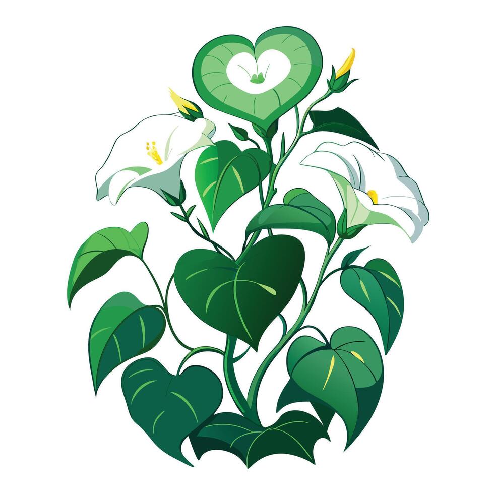 Botanical Rendering of a Moonflower Vine in Full Bloom with Green Leaves and Stems vector