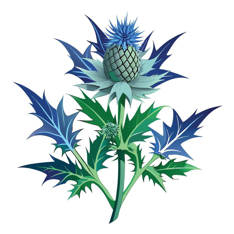 Vibrant Sea Holly Plant with Brightly Colored Flowers and Leaves in a Natural Setting vector