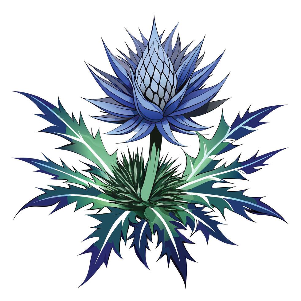Beautiful Sea Holly Plant with Spiky Flowers and Leaves vector