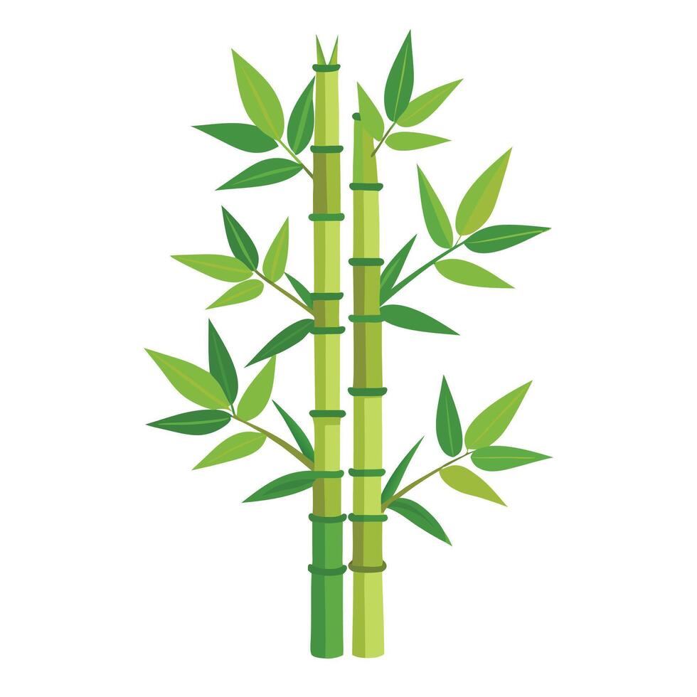 Botanical Bamboo Tree with Green Leaves and Trunk in a Natural Setting vector
