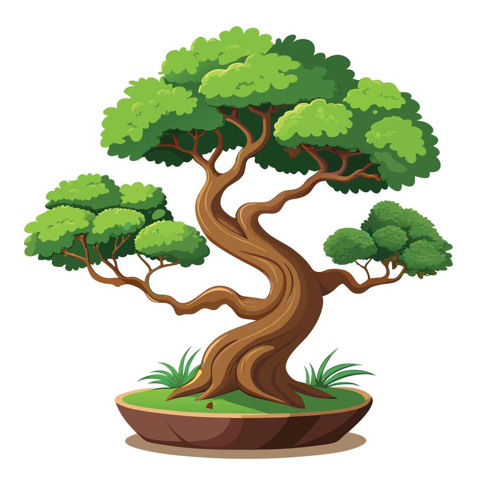 Botanical Bonsai Tree with Green Leaves and Trunk in a Natural Setting vector