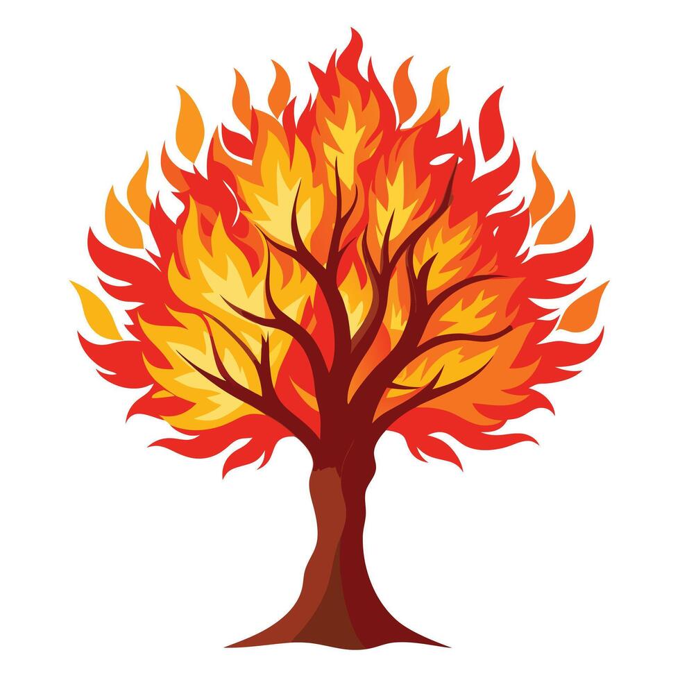 Detailed Illustration of a Fire Tree with White Petals and Long Stems vector