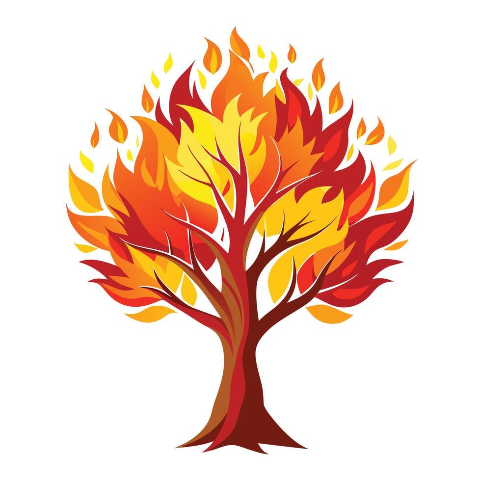 Fire Tree with Pink Flowers and Green Leaves in a Garden Setting vector