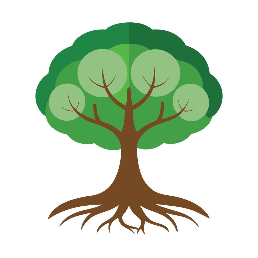 Circular Roots and Canopy for Tree Design vector