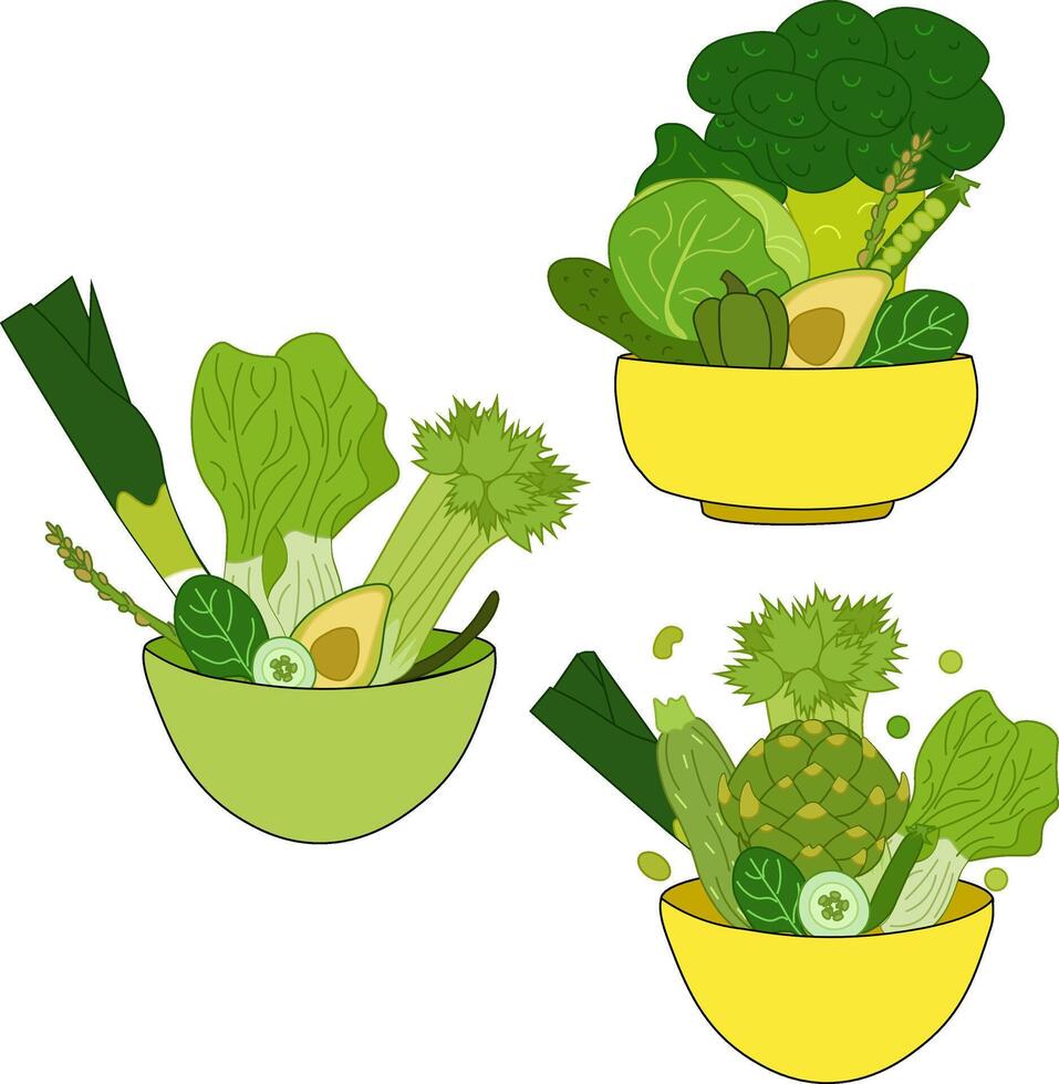 Fresh green vegetable salad in colored ceramic bowl. Fresh and healthy food. Vegetarian nutrition. Flat for cafe or restaurant menu Design for menu, package, cosmetic, textile. Eat green vector