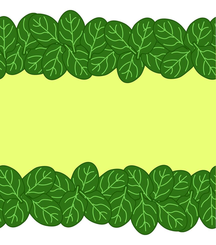 Green spinach leaves frame seamless horizontal border leafy vegetables frame, boxing, bordering. card template. flat illustration banners, print for fabric, labels, t-shirt printing. Eat green vector