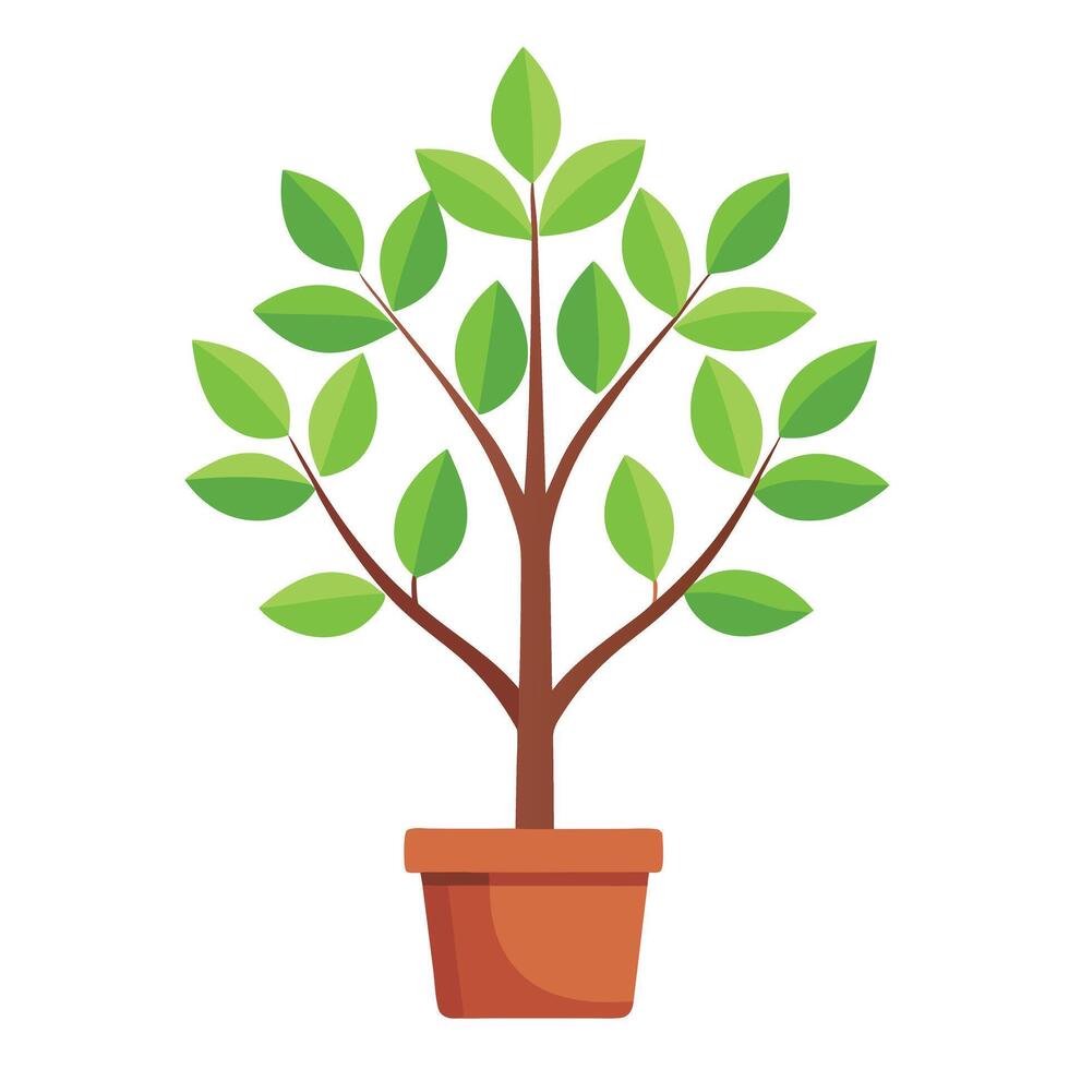 Indoor Tree Potted Plant with Outward Leaves vector