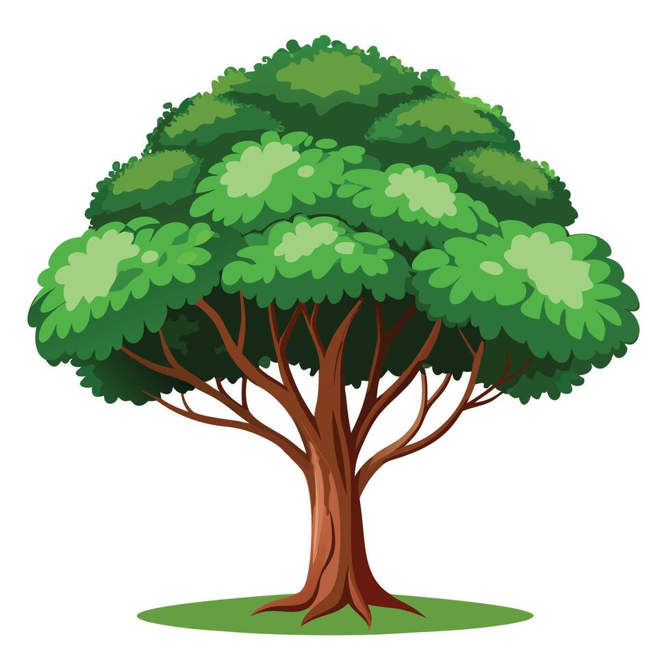 creativo árbol gráfico representando un árbol con un extenso pabellón extensión amplio y lejos vector