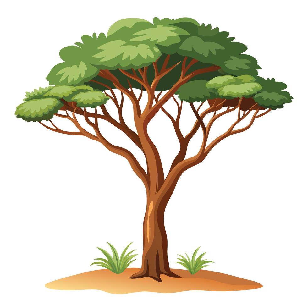 Solitary tree illustration standing alone in a desolate desert environment with a clear sky vector