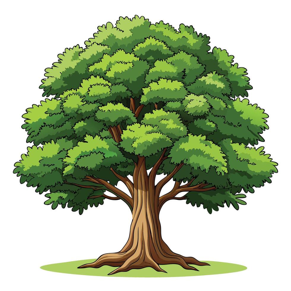 Grand oak tree illustration with a strong trunk and sprawling branches under a clear sky vector