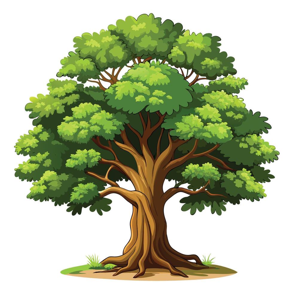 Noble oak tree design featuring a wide canopy and thick trunk in a natural setting vector