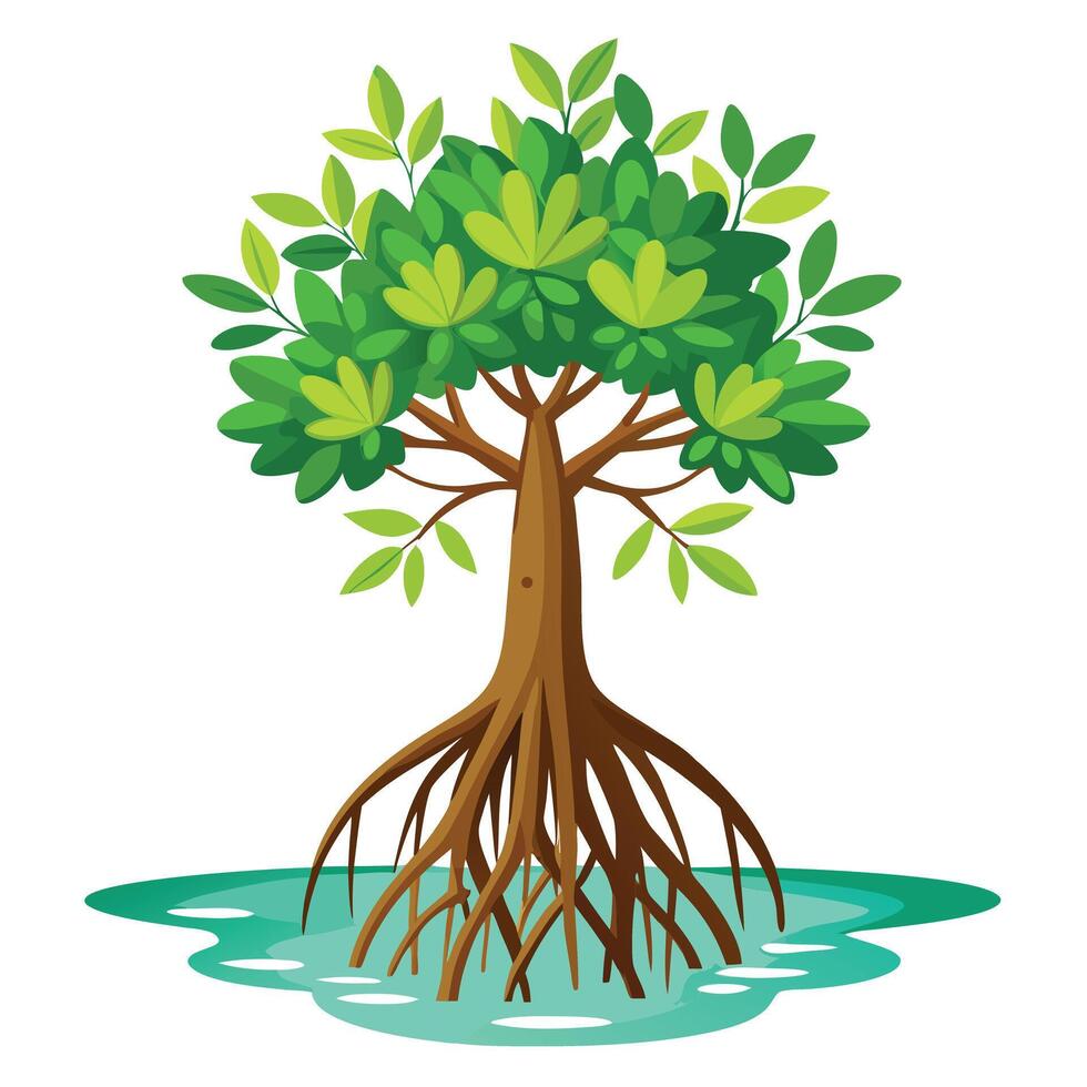 Special mangrove tree graphic with its specialized roots adapted to saline coastal conditions vector