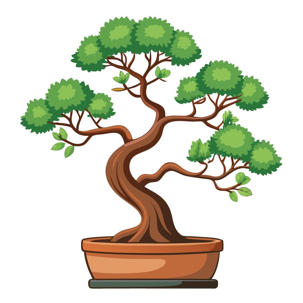 Modern design of a single bonsai tree in a decorative plant pot vector