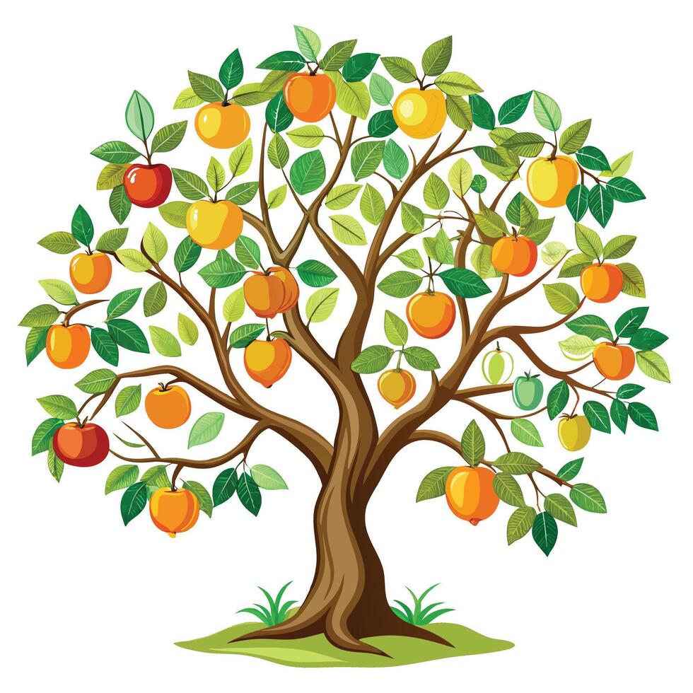 Artistic depiction of a tree heavily laden with ripe fruits on its branches vector
