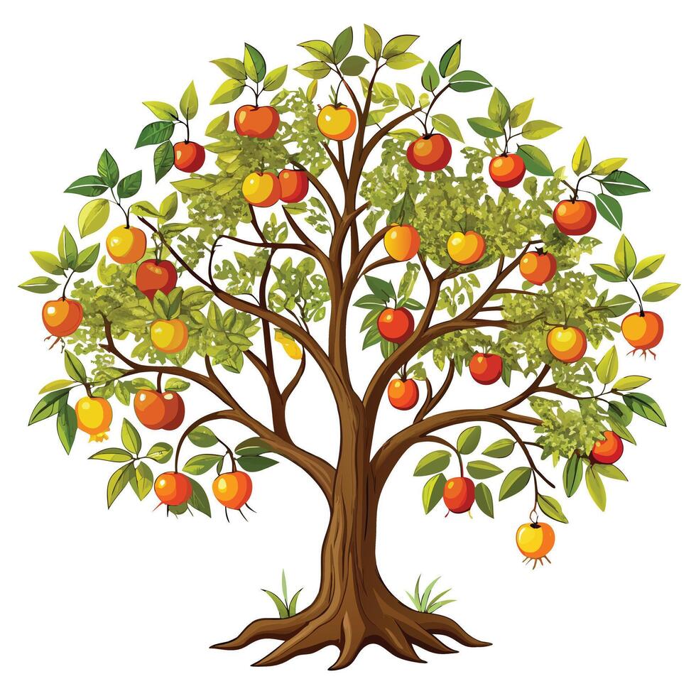 Detailed illustration of a lush tree with ripe fruits hanging from branches vector