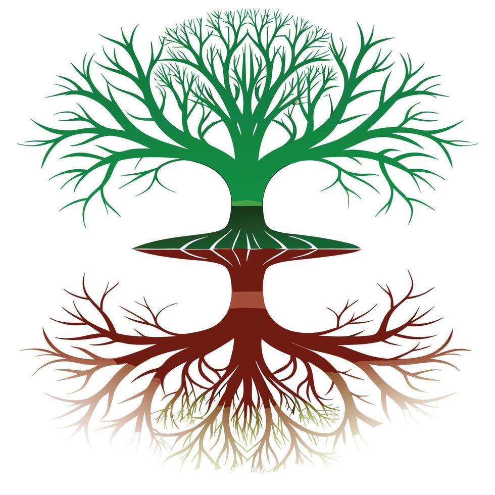 Artistic design of a tree with its reflection creating a symmetrical pattern vector