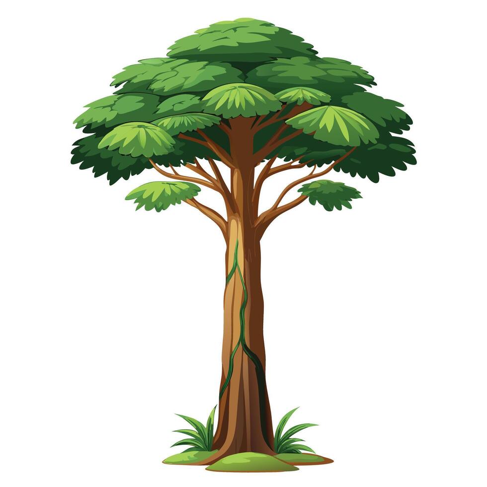 Artistic depiction of a tropical rainforest tree with its intricate leaf structure vector