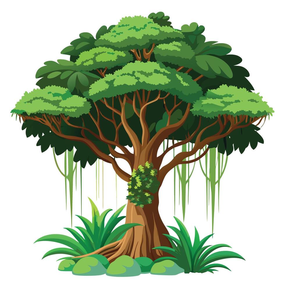 Lush Jungle Tree Towering vector