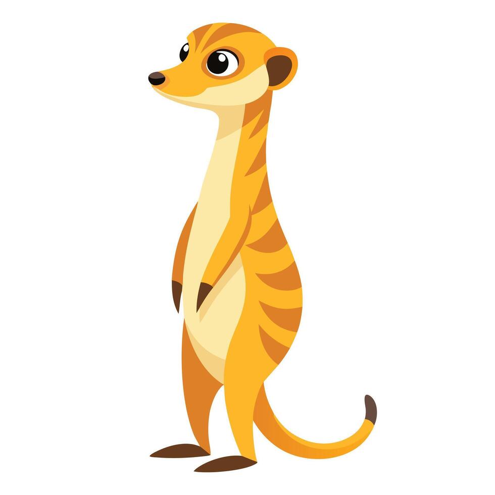 Observant curious meerkat standing on its hind legs and attentively looking around vector