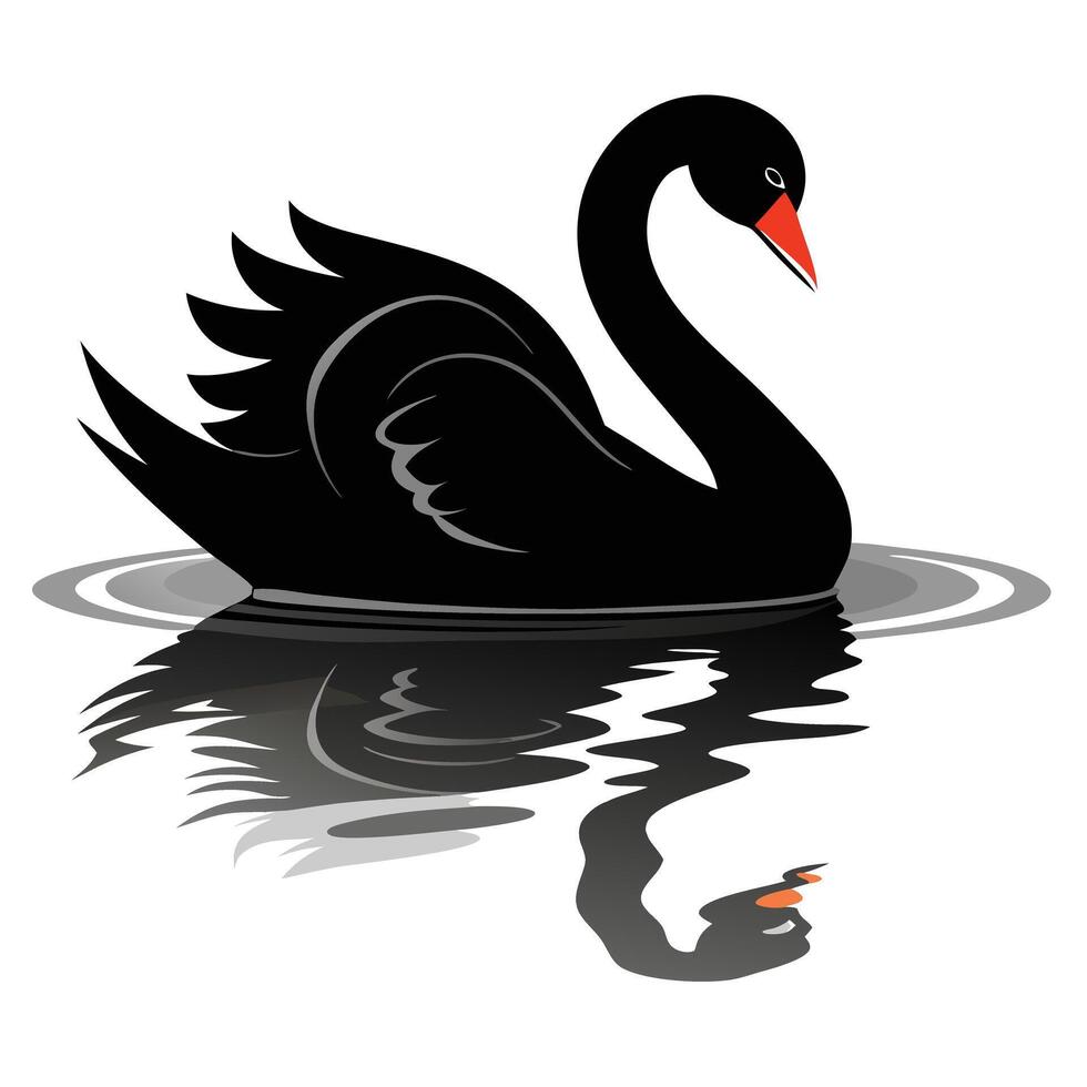 Graceful black swan floating on a calm lake with a mirror image art vector