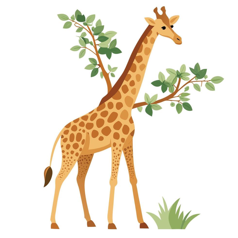 Serene giraffe feeding on leaves from a low branch art vector