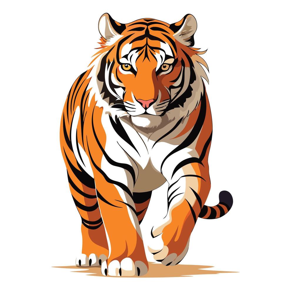 Magnificent bengal tiger walking with focused eyes illustration vector