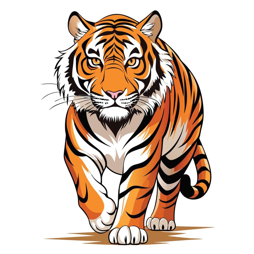 Majestic bengal tiger walking with intense eyes illustration vector