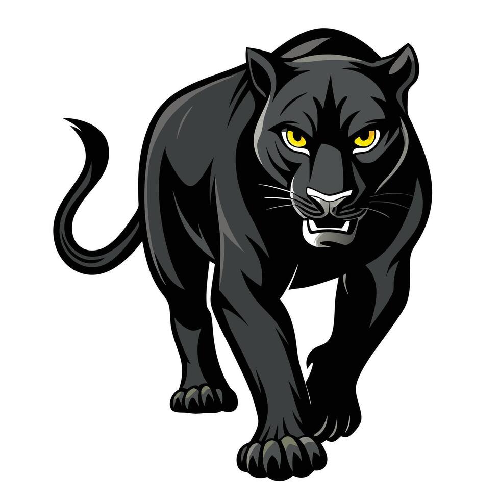 Strong powerful black panther prowling with a focused gaze in the darkness vector