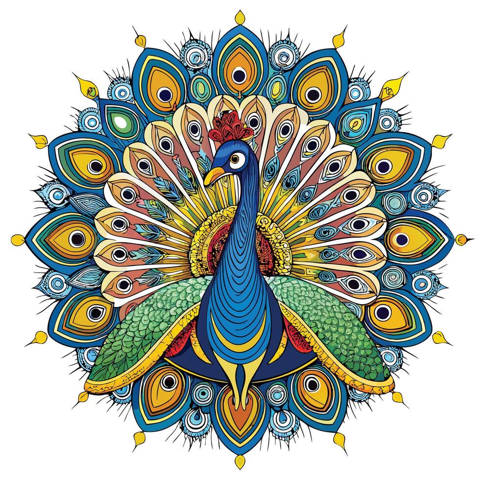 Regal peacock showing its ornate tail feathers fully spread art vector