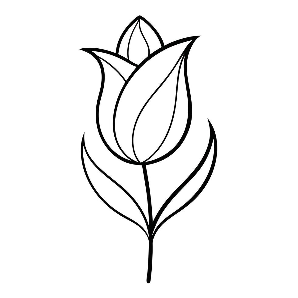 Abstract line tulip with asymmetrical elegance illustration modern floral art vector