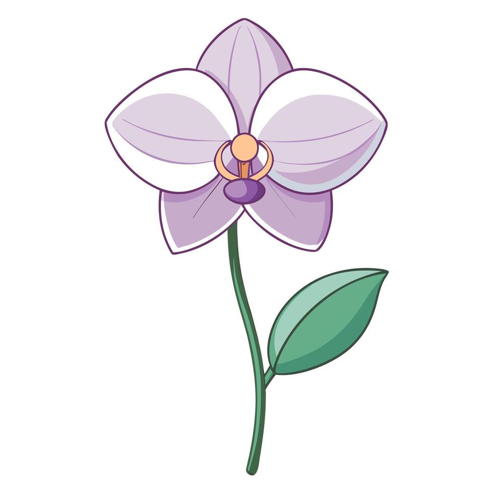 Orchid with asymmetrical petals and natural flow illustration art vector