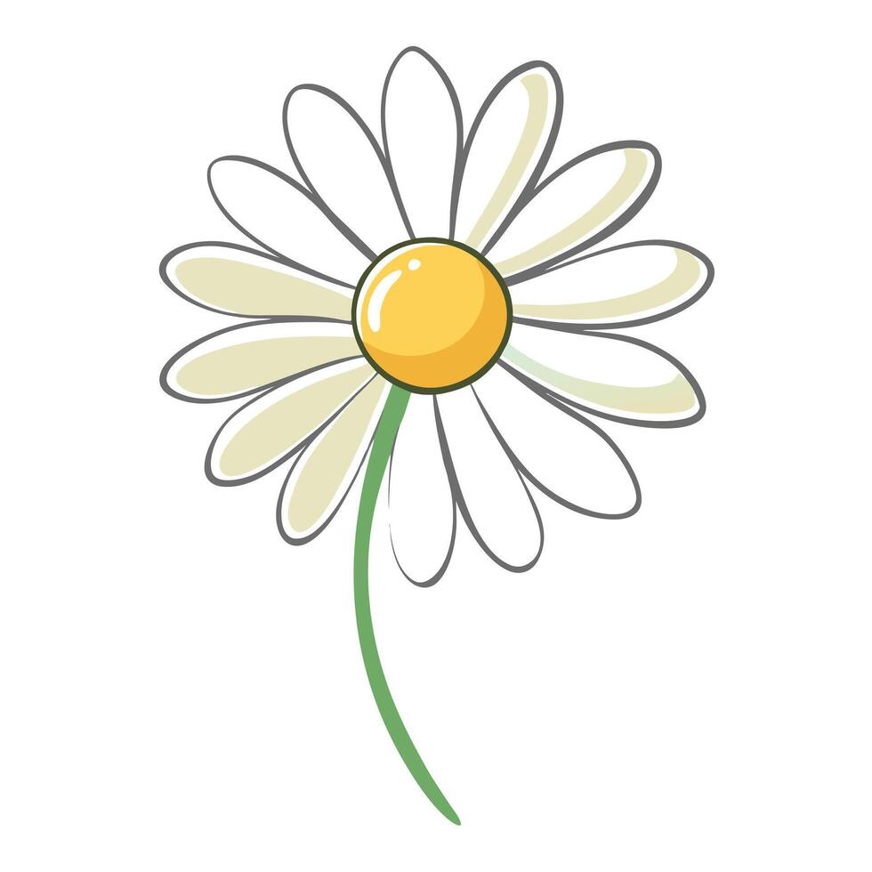 Barely there daisy with faint strokes illustration delicate floral vector