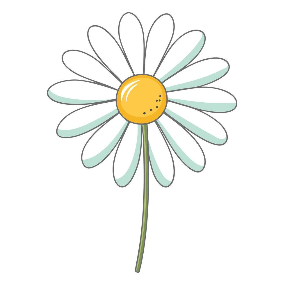 Daisy with faint line drawing and minimal detail illustration art vector