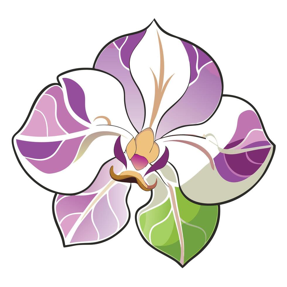 Broken line orchid with fragmented edges illustration artistic floral vector