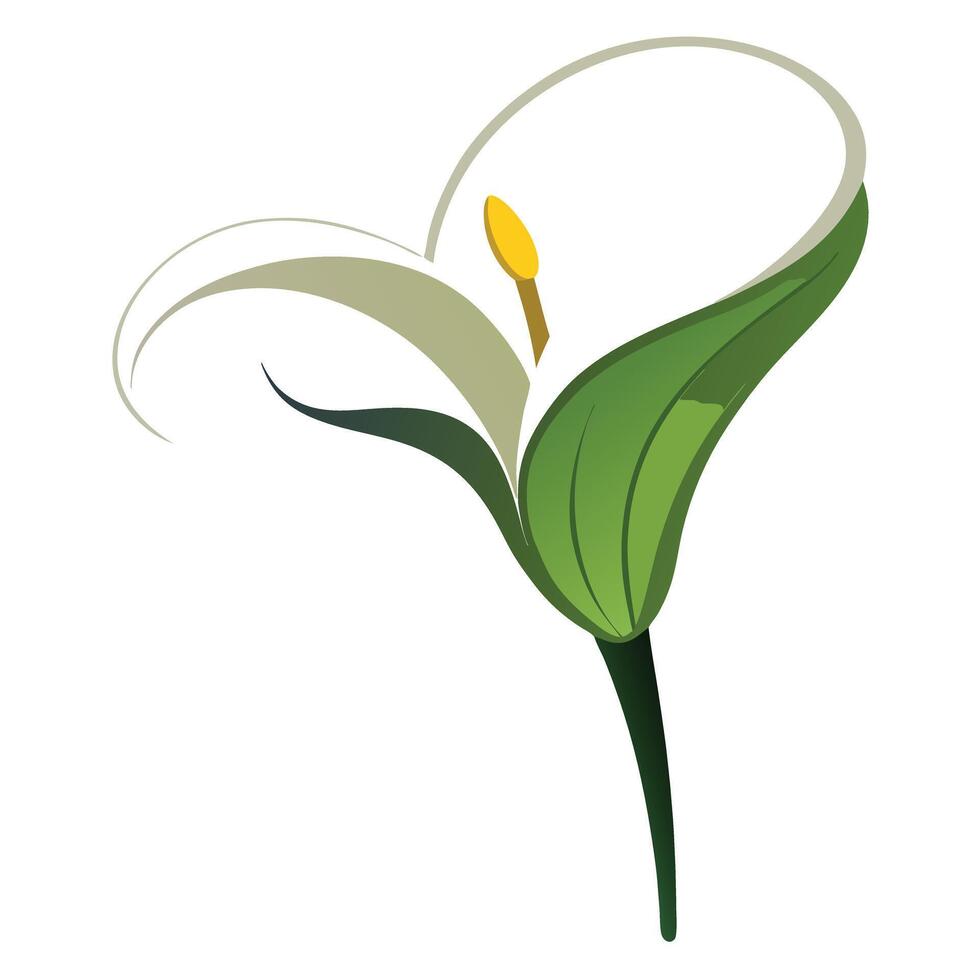 Modern curved stem calla lily highlighting its smooth gentle flow in a graphic vector