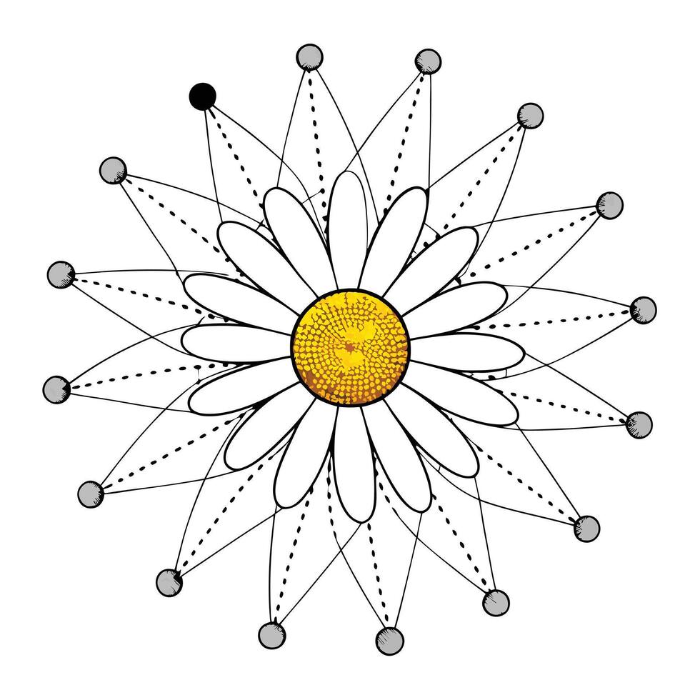 Modern dot connected daisy showcasing its abstract connected dots in art design vector