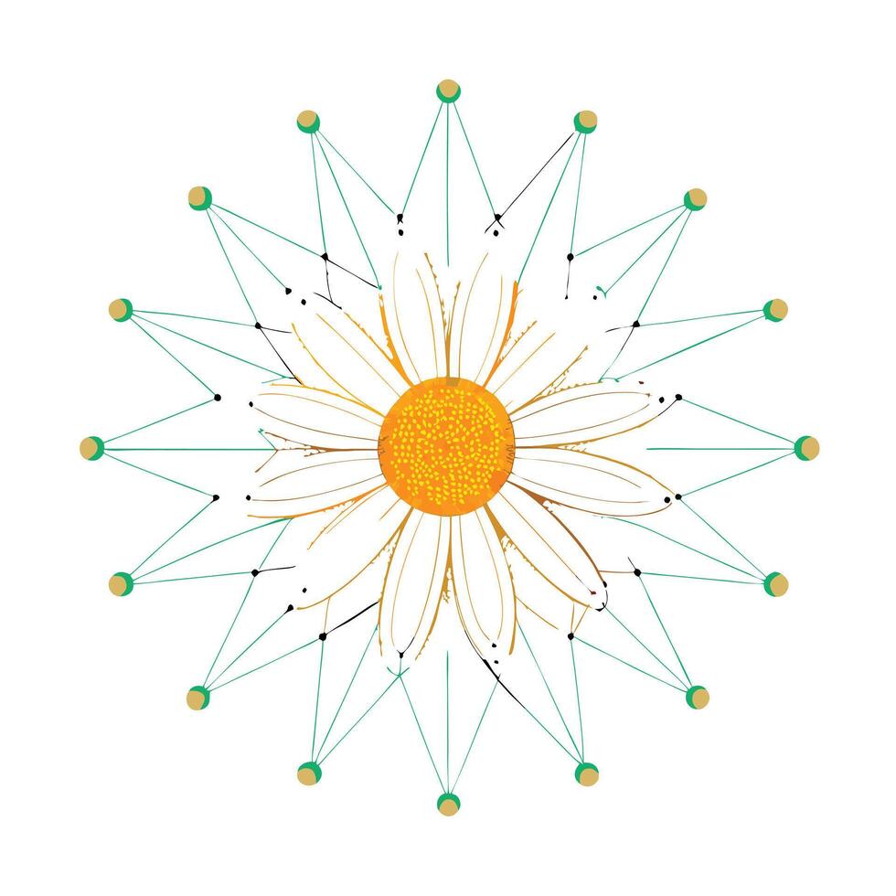 Abstract dot connected daisy with delicate floating elements in illustration vector