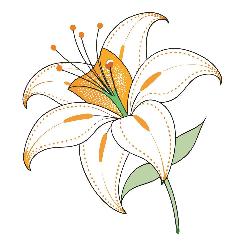 Modern dotted line lily showcasing its fragmented linear design in art vector