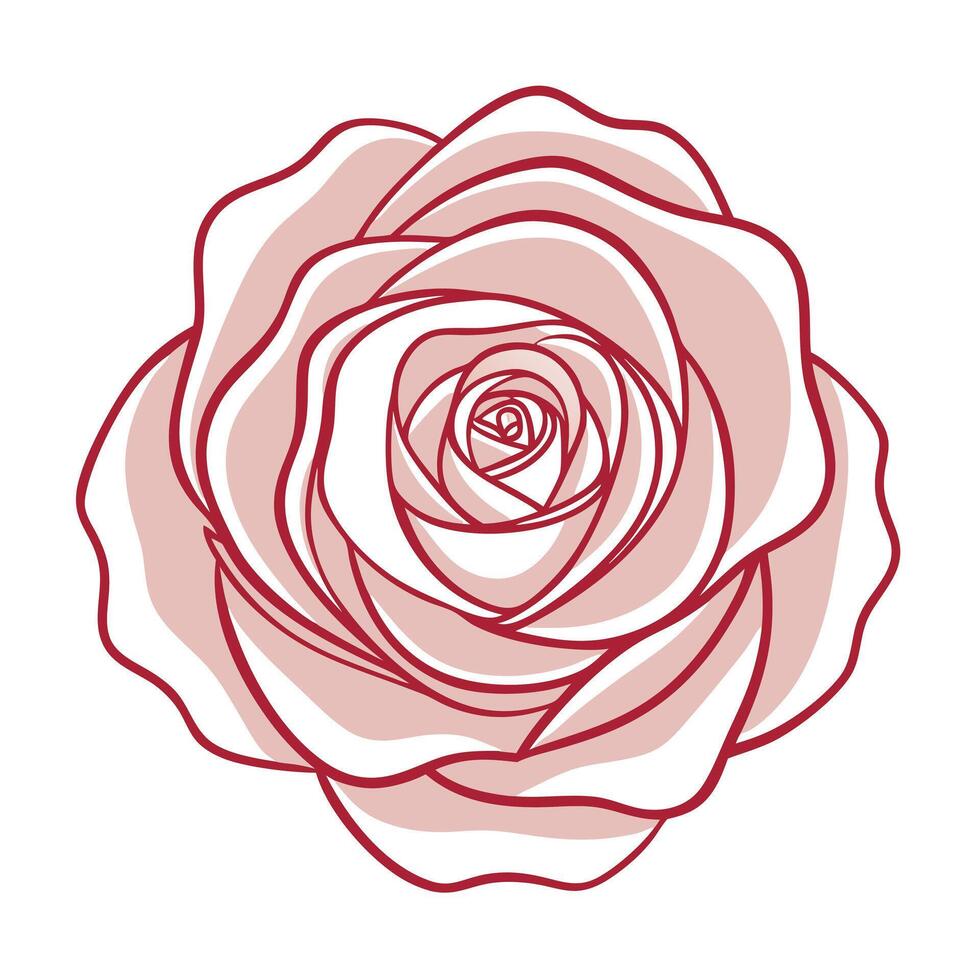 Abstract echo line rose with a subtle repeating pattern in illustration vector
