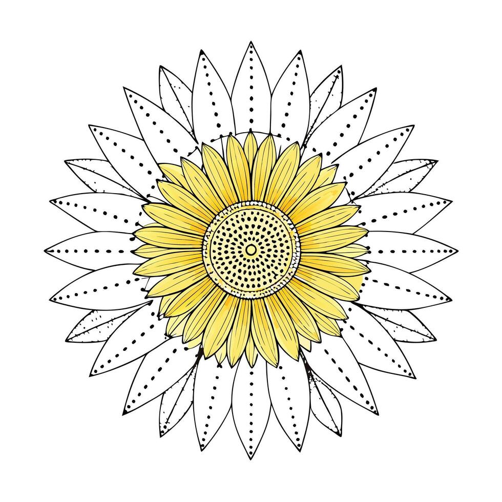 Elegant dotted line sunflower featuring its abstract precise design in design vector